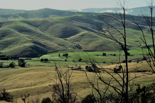 4387004928_c2355dfde9_o